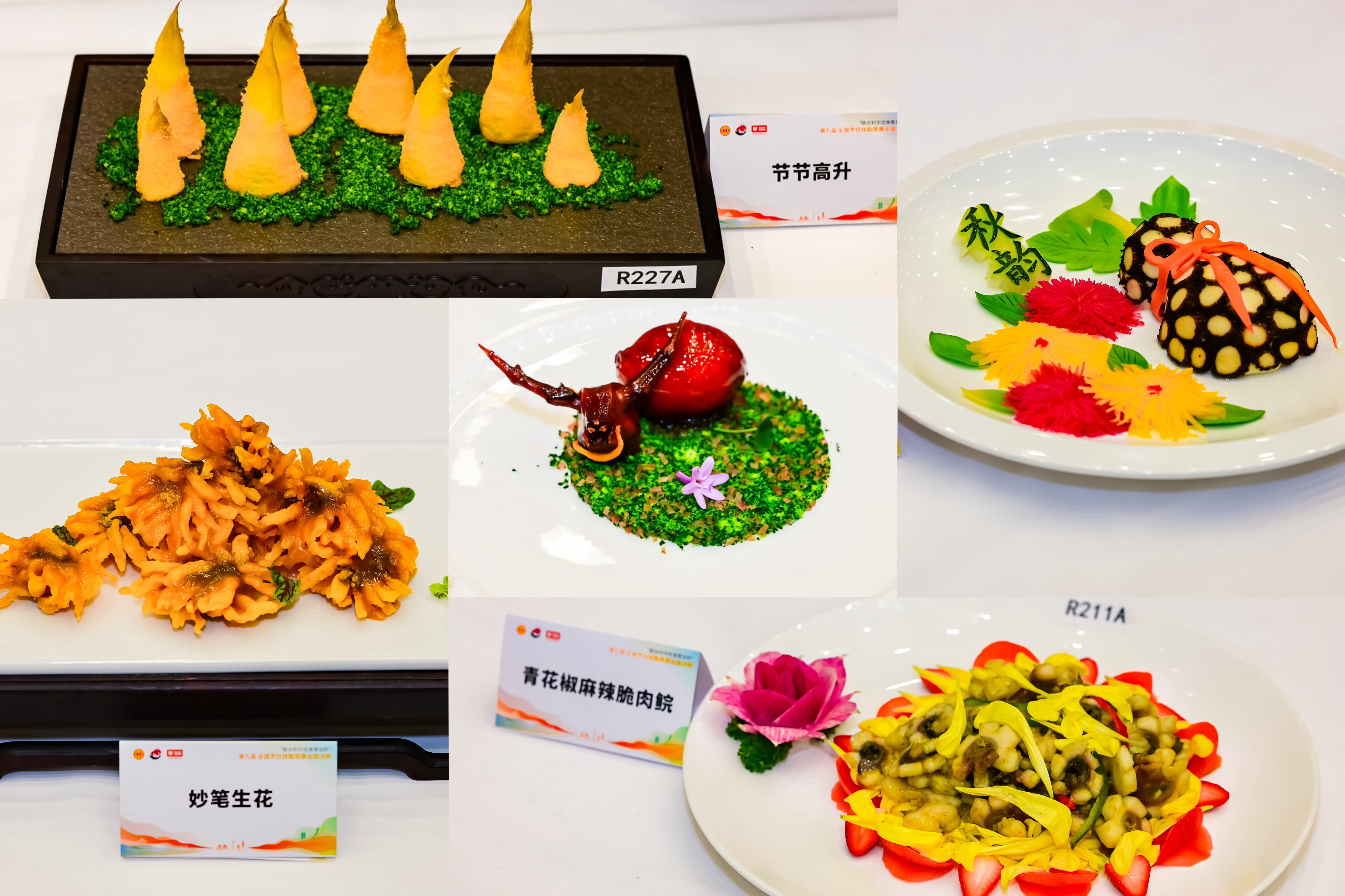 青海家宴擂台“互怼”