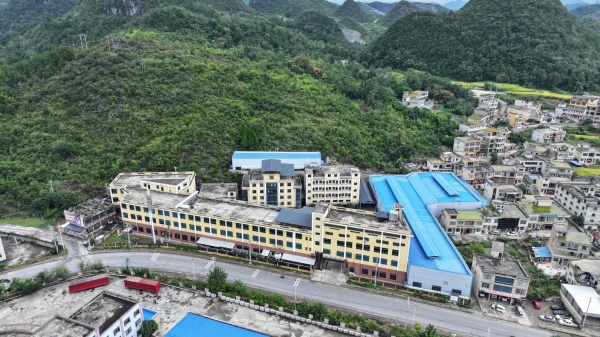 香酥折耳根、香酥佛手